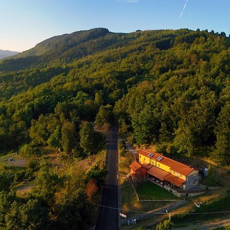 Terra Del Bosco Agriturismo Sesta Godano Экстерьер фото
