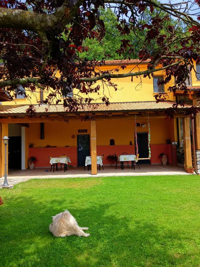Terra Del Bosco Agriturismo Sesta Godano Экстерьер фото