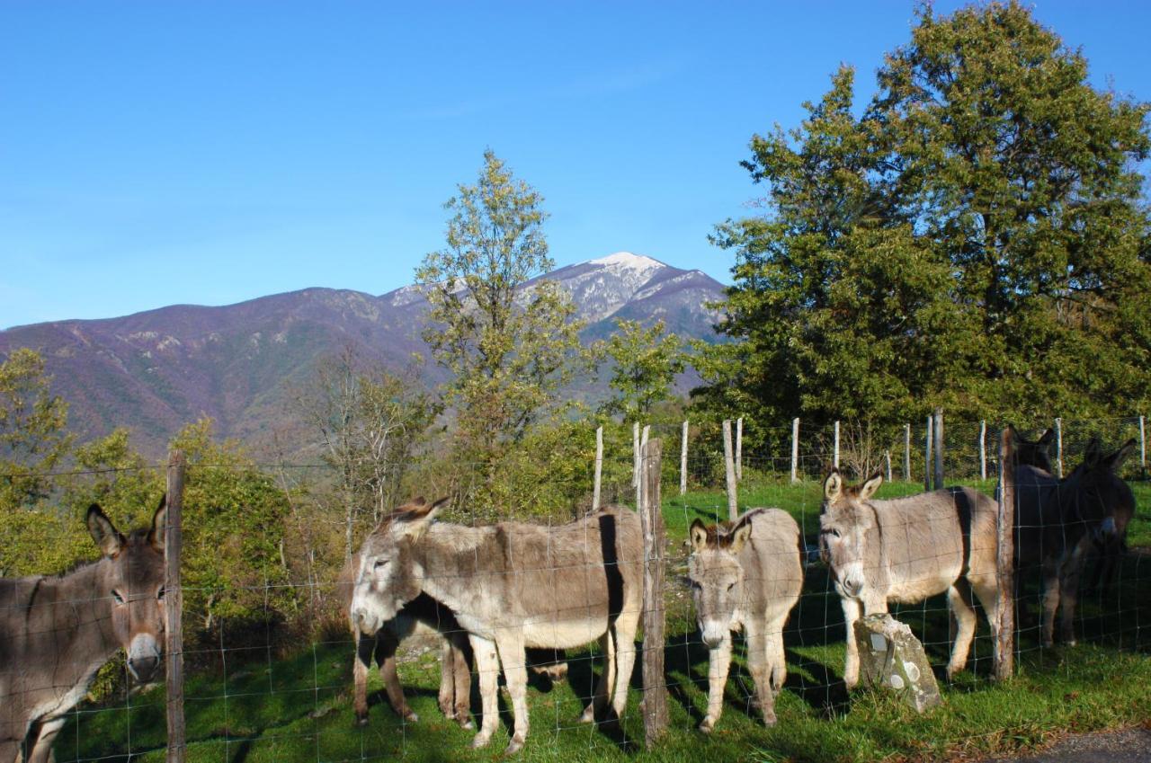 Terra Del Bosco Agriturismo Sesta Godano Экстерьер фото